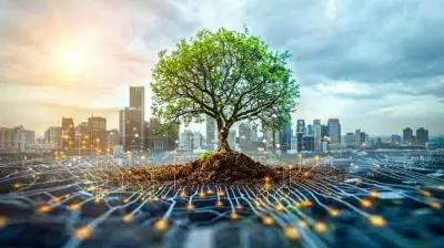 Land Conservation And Real Estate Development Finding A Balance