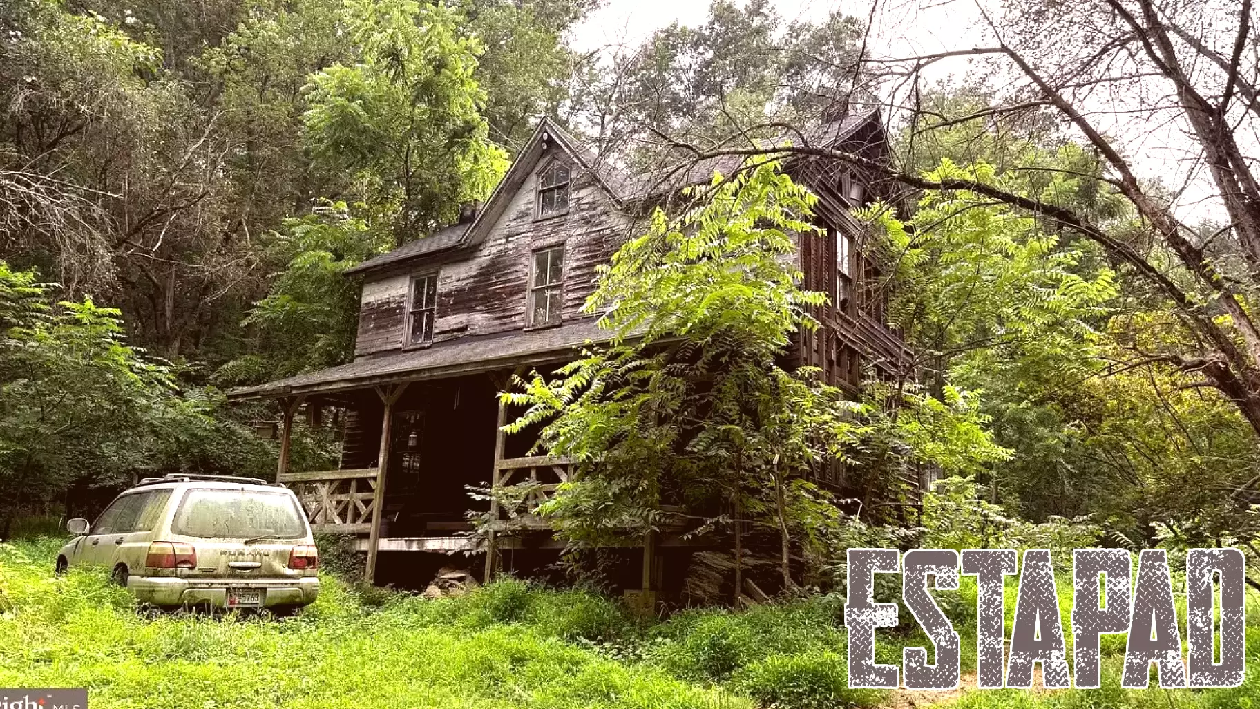 Distressed Property Listing Highlights Unusual Furry Residents