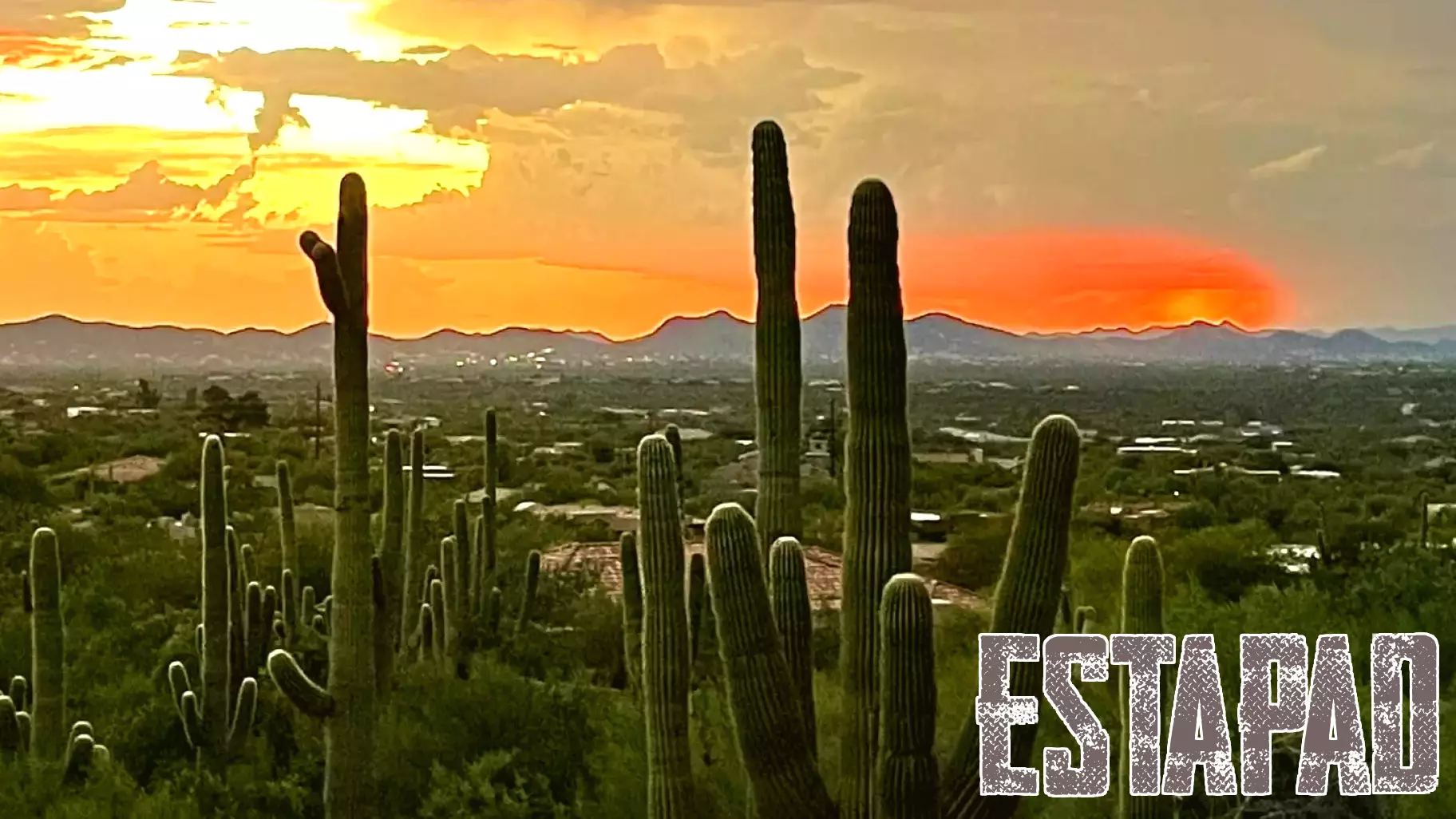Insights into Northeast Valley Real Estate Trends