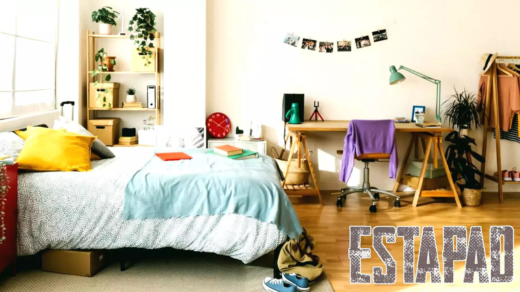Students Often Overspend on Dorm Furnishings, Study Finds
