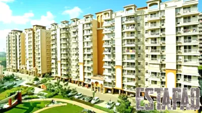 AI Revolutionizes Real Estate Advertising for Modern Home Seekers