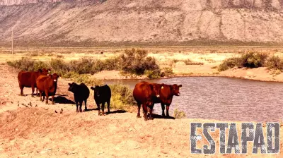 Heritage Ranch in Texas Sells for $46M After 60 Years in Same Family