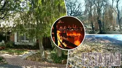 Homeowners Abandon Pacific Palisades Amid Fire Recovery