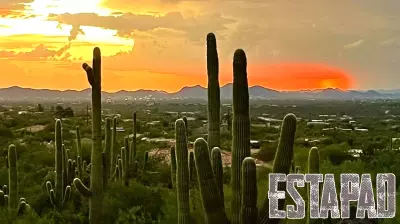 Insights into Northeast Valley Real Estate Trends